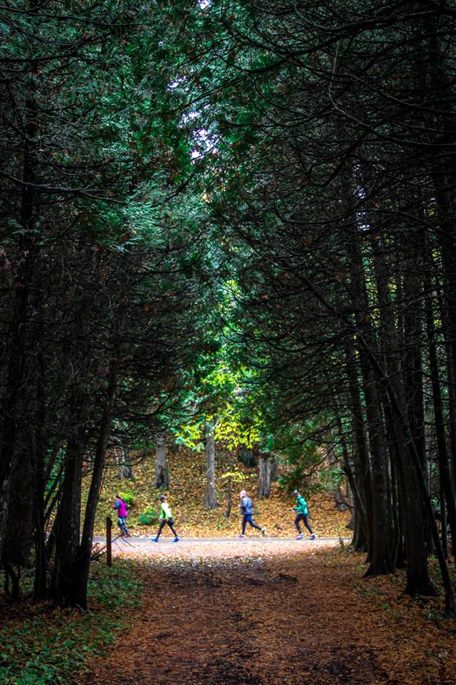 Lilac Festival 10K Run