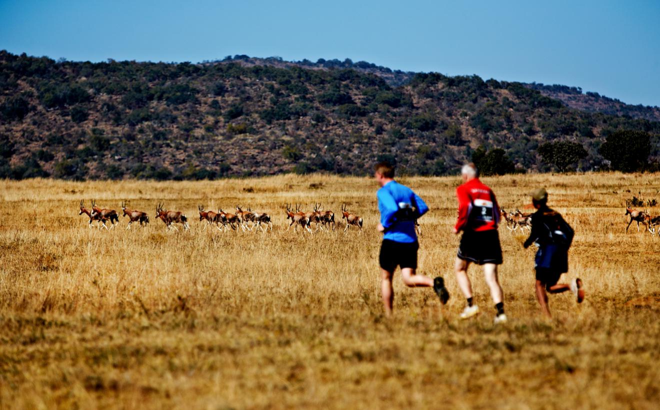 Big Five Marathon