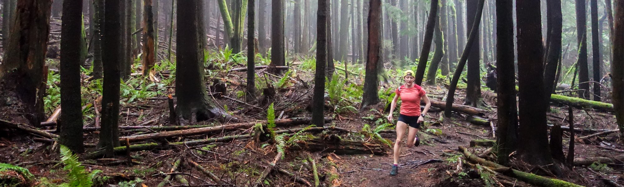 Pine To Palm 100 mile