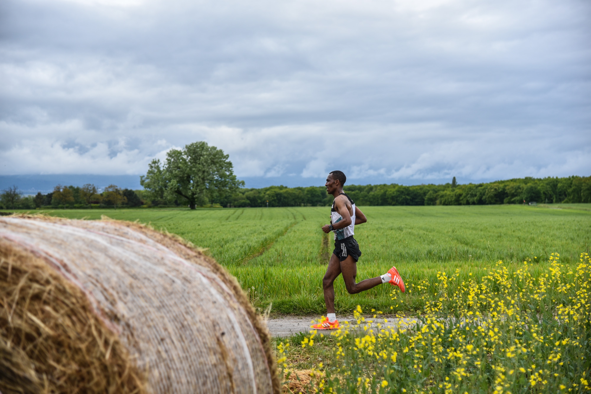 Harmony Geneva Marathon