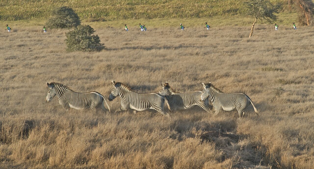 Safaricom Lewa Marathon