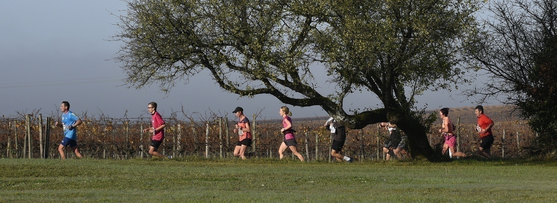 Marathon du Cognac