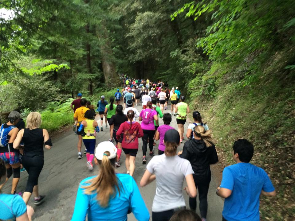Ave of the Giants Marathon & Half Marathon