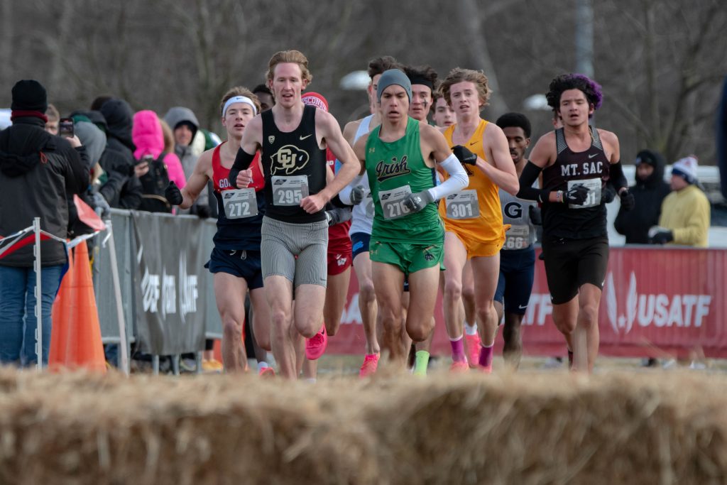 USATF Cross Country Championships